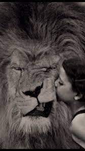 Oakland zoo is home to more than 850 native and exotic animals. Pin By Inspirationc05 On Wolf And Red Animals Lions Lion Art