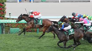 Feb 13, 2021 · no.1競馬サイト「netkeiba.com」がクイーンカップ(g3).2021年2月13日東京の競馬予想・結果・速報・日程・オッズ・出馬表・出走予定馬・払戻・注目馬・見どころ・調教・映像・有力馬の競馬最新情報をお届け！ Ns3qahymzrku M