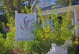 Hours may change under current circumstances Muir S Tea Room Sonomacounty Com