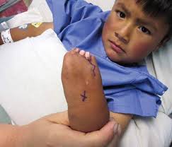 Empowering Our Partners