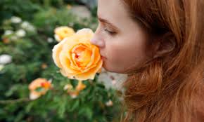 Strange Invisible Perfumes The Rose With The Broken Neck (2015) + The  Return (Reserve Series) Draw