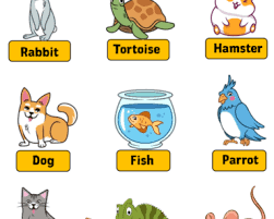 10 Herbivorous Animals Name English Grammar Here
