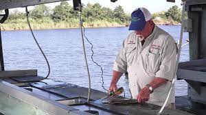How To Clean A Flounder - Youtube