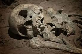 Skeleton of woman found after two years of being killed by husband in uttar  pradesh