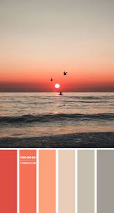 Free for commercial use no attribution required high quality images. Coral Archives 1 Fab Mood Wedding Colours Wedding Themes Wedding Colour Palettes