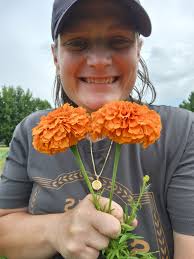 When does Swan Island start discounting their stock?