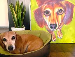 Try taking your pet's photo in the morning, early evening, or in a well lit room. Custom Pet Portraits Painted By Artist Chelz Franzer