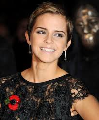 Emma Watson abandona os estudos