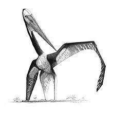 Microtia, anotia, etc.) and trauma (blunt, penetrating, or blast). Pterosaur Wikipedia