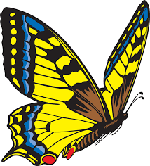 Yellow Butterfly Clipart Clipart Panda Free Clipart Images Butterfly Clip Art Butterfly Art Butterfly Images