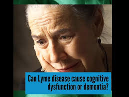 Randi Goodman's Lyme Disease Hack