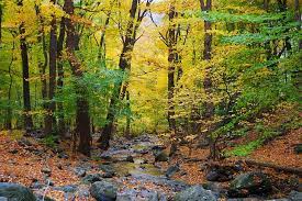 One of our favorites is the conewago trail which connects with two other trails so that you make a pretty full day or maybe just an hour or two. 14 Top Rated Hiking Trails In Pennsylvania Planetware