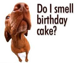 Image result for funny birthday