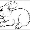 Den osterkorb kannst du natürlich auch nach deiner vorstellung ausmalen. Https Encrypted Tbn0 Gstatic Com Images Q Tbn And9gcq7 Iedasis7cgvqc4t81ifqz0bt6 0lklxkjcoikndn1p9avlz Usqp Cau