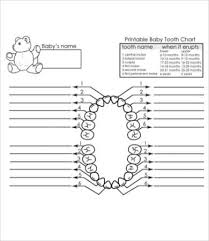 Baby Teething Chart 7 Free Pdf Documents Download Free