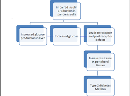 the pathophysiology of type 2 diabetes mellitus niddm