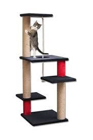 gallery image kedi kedi evi kopek