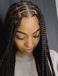 14 Hairstyles Braided Black Girls In 2020 Braids Hairstyles Pictures Girls Hairstyles Braids Braided Hairstyles