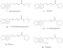 Image result for Piper guineense