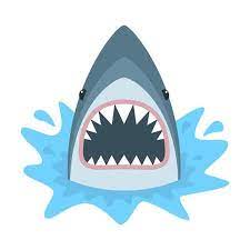 Shark With Open Mouth Shark Isolation On A White Background Shark Images Shark Illustration Shark Drawing