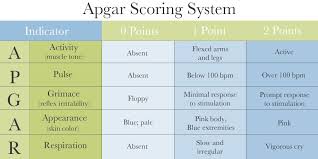 Image result for APGAR Score