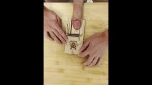 CBT | Dick caught in a rattrap