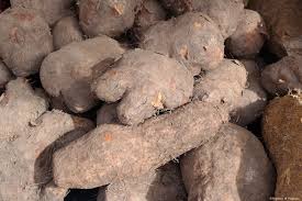 Couac Semoule De Manioc