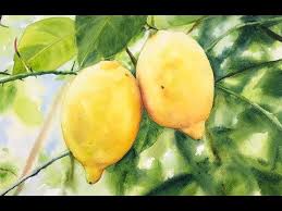14 Painting Lemons In Watercolor Layers And Texture Youtube Technique Aquarelle Aquarelle Fruits Et Legumes