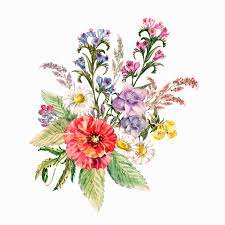 Pin By Vipul Chaudhari On Flawar Flower Bouquet Drawing Botanical Flowers Watercolor Illustration