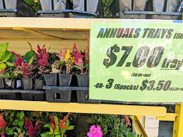 In 1977 produce junction was founded by, and still owned and operated by a local philadelphia family. Produce Junction Flowers Overview Prices 422 Deals
