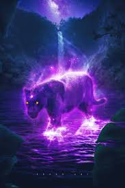 Hd wallpapers and background images Lion 1440x2960 Resolution Wallpapers Samsung Galaxy Note 9 8 S9 S8 S8 Qhd