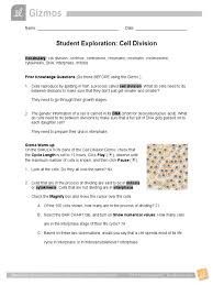 This student exploration meiosis gizmo answer key enables us know that true strength will not come. Cell Divisions Se Mitosis Chromosome