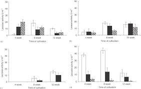 Degradation and enzymatic activities of three Paecilomyces inflatus strains  grown