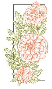 Marigold Tattoo Idea For Forearm Marigold Tattoo Birth Flower Tattoos Flower Drawing