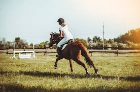 Nestled within the northern unit of the kettle moraine forest, near plymouth, wi, camp anokijig offers. Best Horseback Riding Camps For Kids In New Jersey