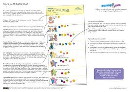 My Big Star Reward Chart 2yrs Award Winning Great