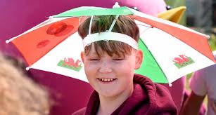 Fun in the sun at the Urdd Eisteddfod in Llandovery