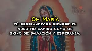 Virgen de guadalupe, madre de las américas, te pedimos por todos los obispos, para que conduzcan a los fieles. Oracion A La Virgen De Guadalupe Ante La Pandemia Yo A Jesus