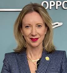 To Stop The Backdoor Budget Attack