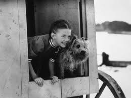 It works as well as it does because of understatement, and it's still a charming and captivating film more than 60. The Ghost And Mrs Muir 1947 Imdb