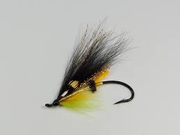 The rogue river salmon fly provides a great silhouette to the trout. Atlantic Salmon Flies Governor Modern Atlantic Salmon Flies By Paul C Marriner