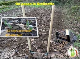 Test De La Grelinette Avec Vous Biogriffe Leborgne 4 Dents 2019 Youtube