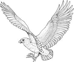 Coloring pages football coloring pages free and printable for free football coloring pages 2. Free Printable Eagle Coloring Pages For Kids