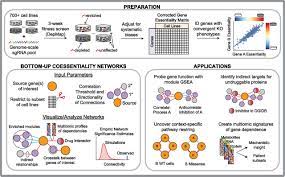 Failed americana to reverse triangle, part 3. Fireworks A Bottom Up Approach To Integrative Coessentiality Network Analysis Life Science Alliance