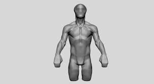Human torso anatomy study canvas print by luminariumgraphics. 3d Model Base Male Torso Anatomy Turbosquid 1701133