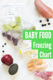 Frozen Homemade Baby Food Cubes That Freeze Well Which Baby Foods Freeze Best Or Good For Homemade Baby Food Baby Food Recipes Baby Food Cubes Freezing Baby Food