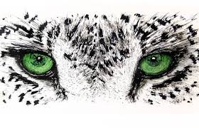 Animal drawings cute drawings arte sketchbook dibujos cute cute doodles kawaii art aesthetic art cat art oeuvre d'art. Green Leopard Eyes Drawing By David Rabie Saatchi Art