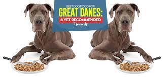 Check spelling or type a new query. Best Dog Food For Great Danes Of 2020 Top 6 Vet Recommended Brands