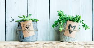 Die hochzeit soll ein schönes fest werden. Pflanze Zur Hochzeit Schenken 5 Schone Nachhaltige Tipps Ideen