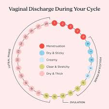 Image result for Vaginal Discharge Testing